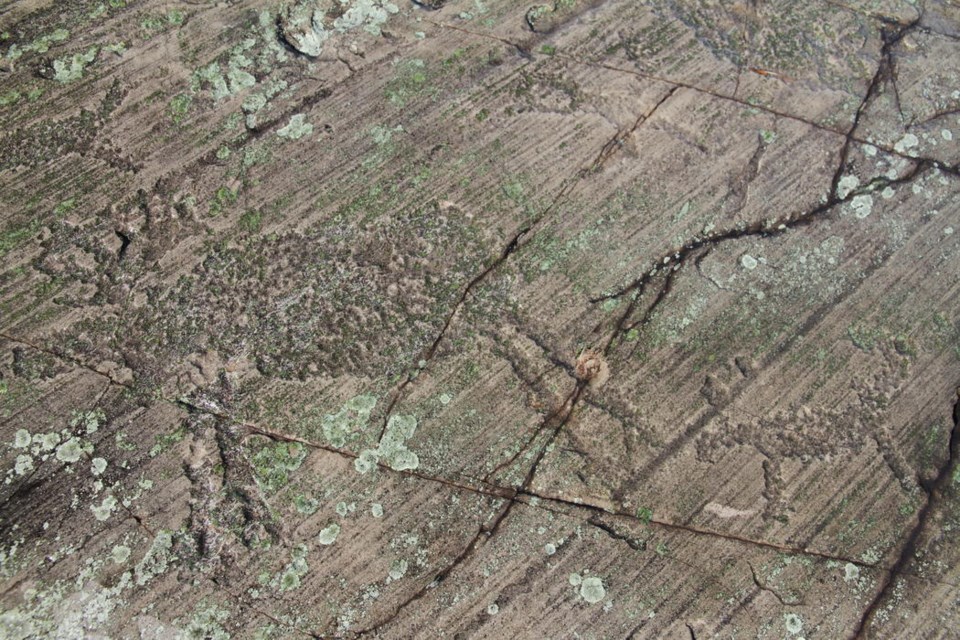 The moose and calf pic, along with what seems like a small goose, is very detailed.  These rock carvings are thousands of years old. Bill Steer photo