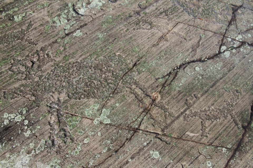 The moose and calf pic, along with what seems like a small goose, is very detailed.  These rock carvings are thousands of years old. Bill Steer photo