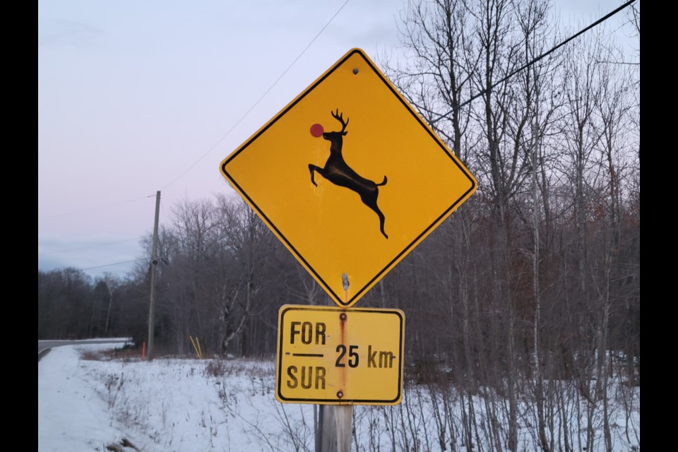 In what has become an annual Christmas tradition, someone has stuck a red 'nose' on deer crossing signs on St. Joseph Island.