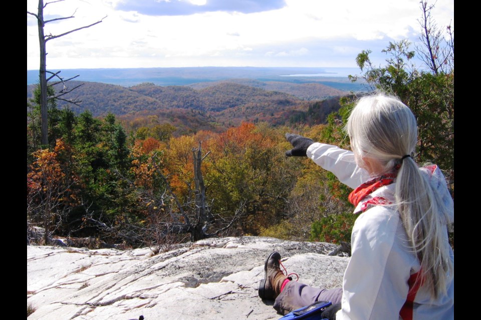 King Mountain Lookout. Photo provided.