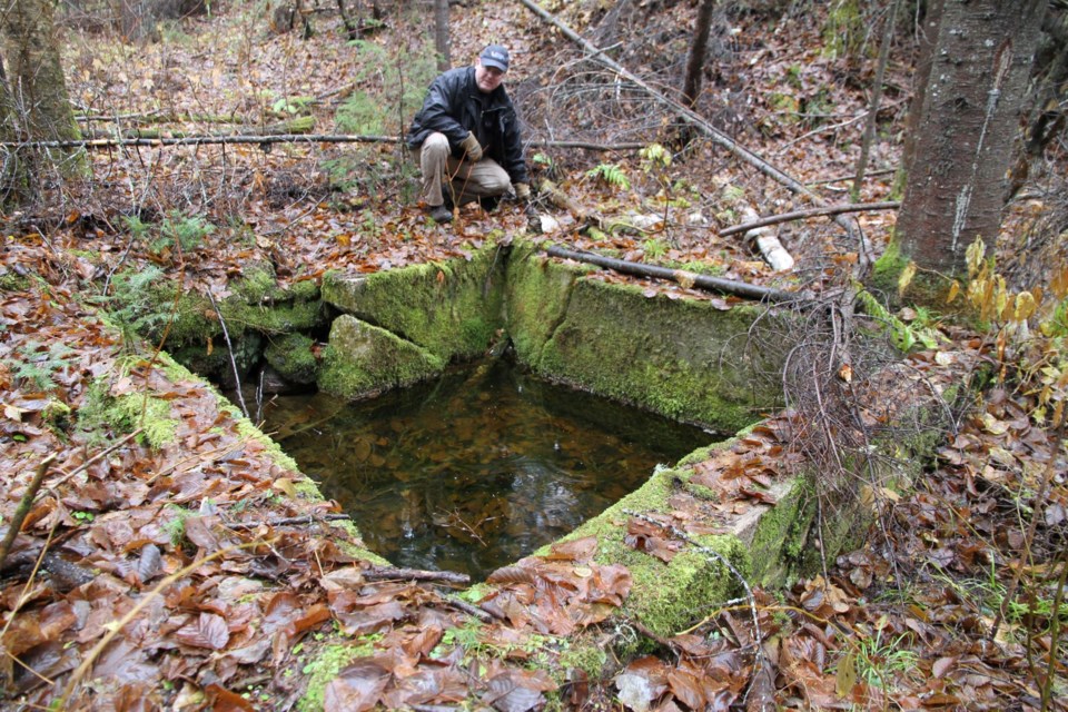 Brian Emblin stands beside the cistern, the water source for the spa some 200 m away.