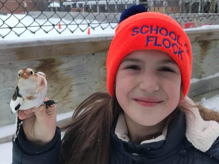 Grade five student, Lucy Harrison holds a banded snow bunting part of the research conducted by students at Kerns Public School.