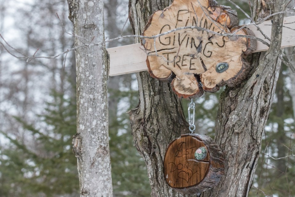 Finnys Giving Tree. Shore Ridges Conservation Area. 