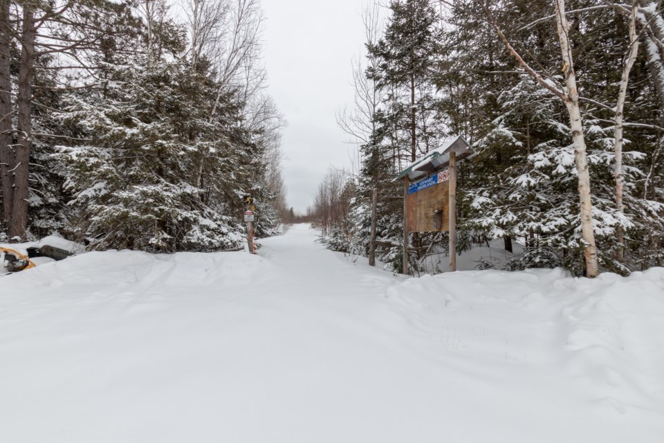 Stewart Highlands Cross Country Ski Trails.