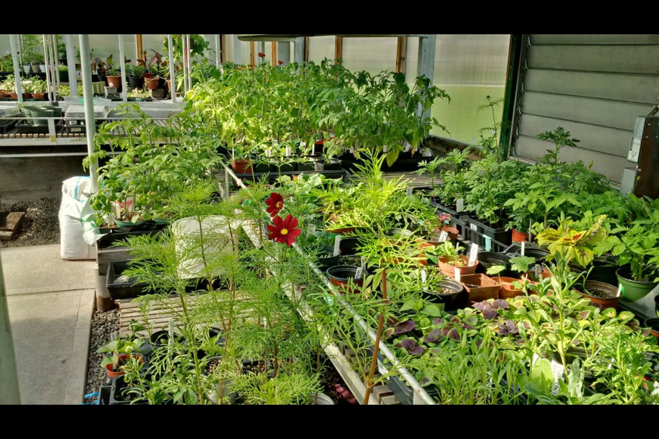 Canal greenhouse