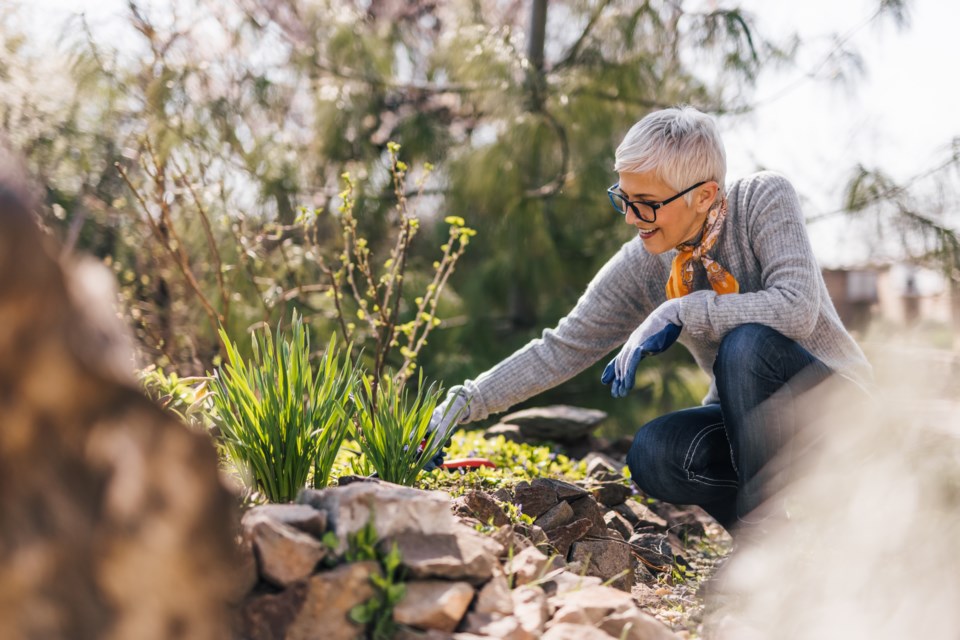 AdobeStock_428108123