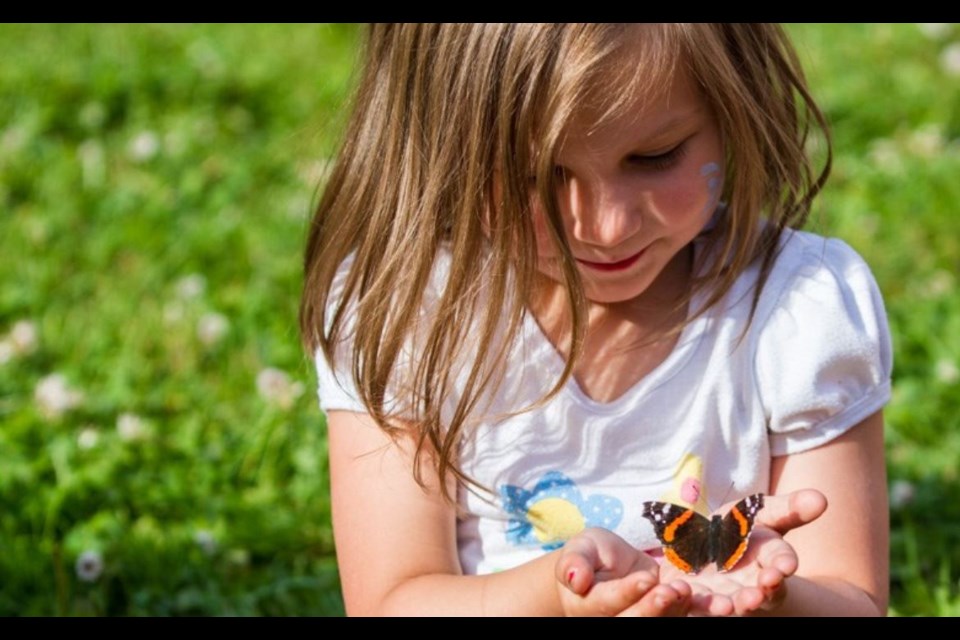 Looking back: Three-year-old Sienna Marcinkowski was one of many participants in the inaugural ARCH Butterfly Release at Bellevue Park on Thursday, July 16, 2015. Donna Hopper/SooToday