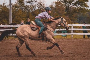 Algoma Horse Association partnering with local artisans for fundraiser
