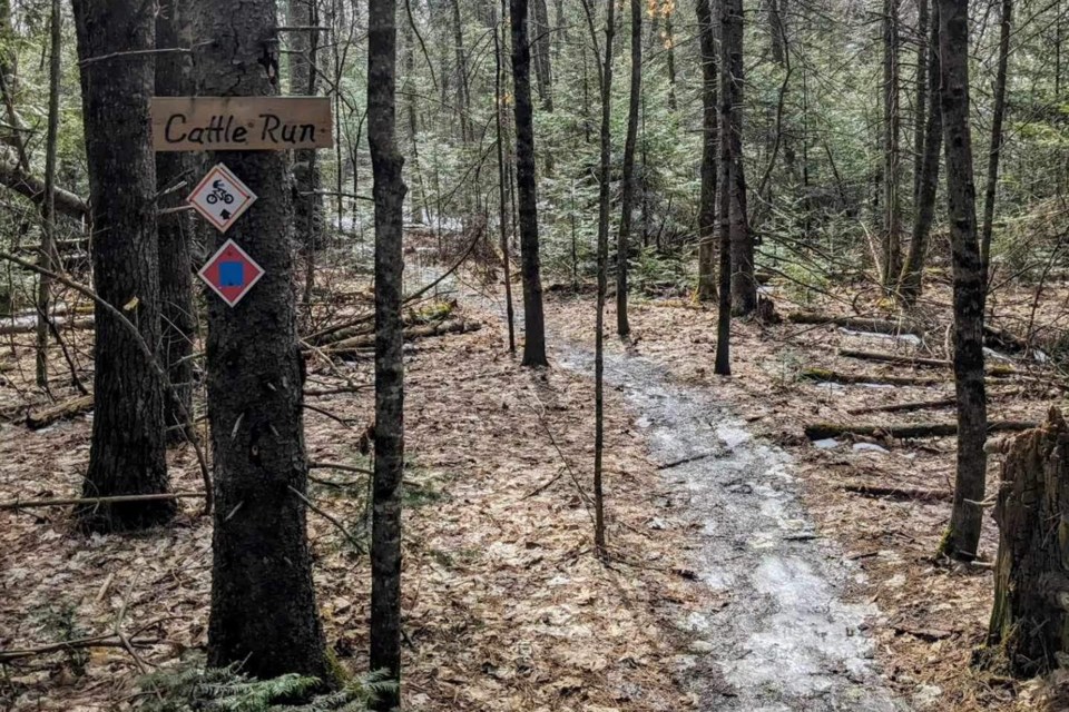 The mountain biking trails at Hiawatha are one of three areas the Sault Cycling Club is asking riders to avoid while the snow melts and the ground dries up.