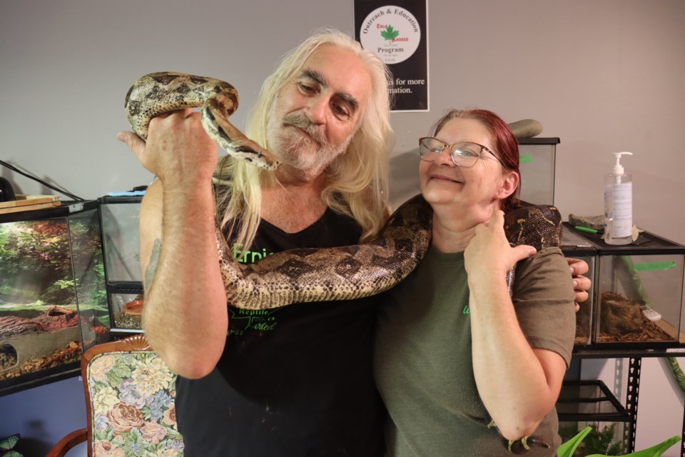 Eden's Reptile co-founders Ernie and Ruth Rowntree are seen with 'Muk,' a friendly 7-foot long  rescue snake and one of several reptiles they're advocating to legalize in Sault Ste. Marie. 