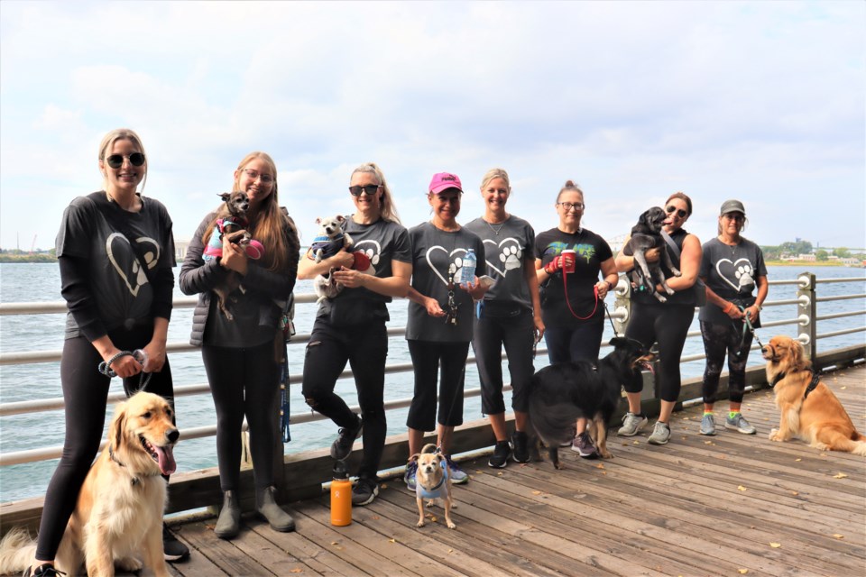 'Team Tail Waggers' (pictured above) raised over $2,000 for the Sault Ste. Marie Humane Society through the foundation's annual dog walk fundraiser at the Pavilion on Saturday.