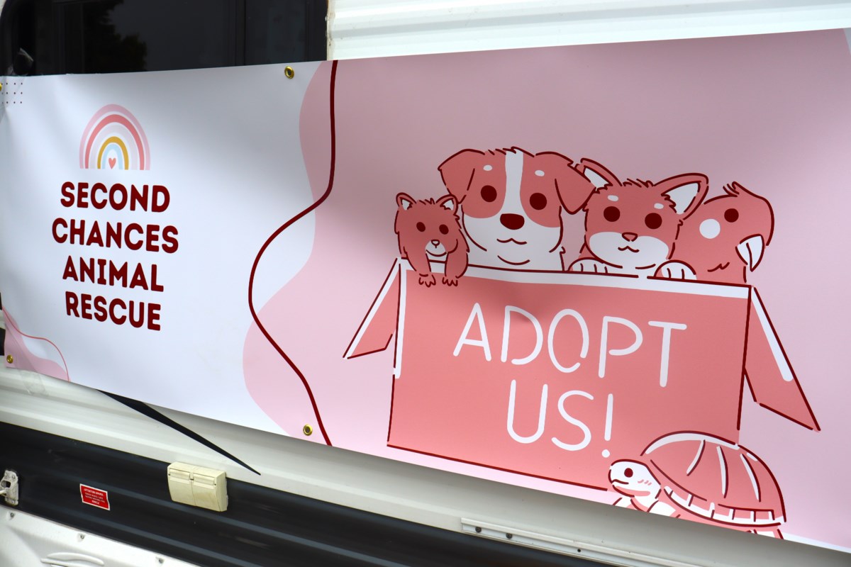 Have a ‘crappy ex’? Animal rescue team wants to plaster their name on litter packing containers