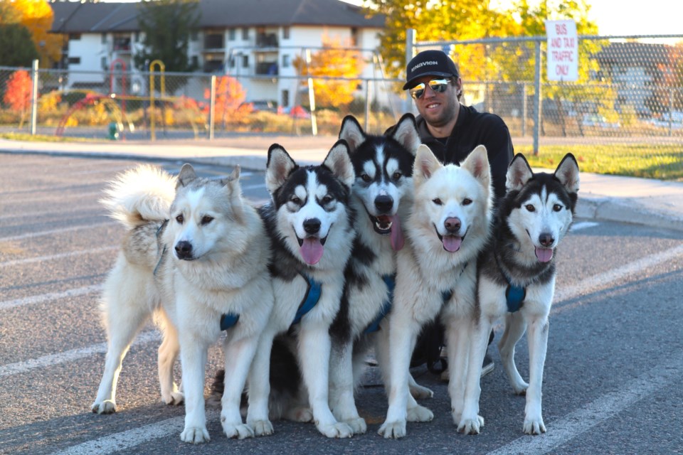 Chris Nielsen doesn't often need a vehicle as his five huskies enjoy taking him around town for rides on a skateboard or sled.
