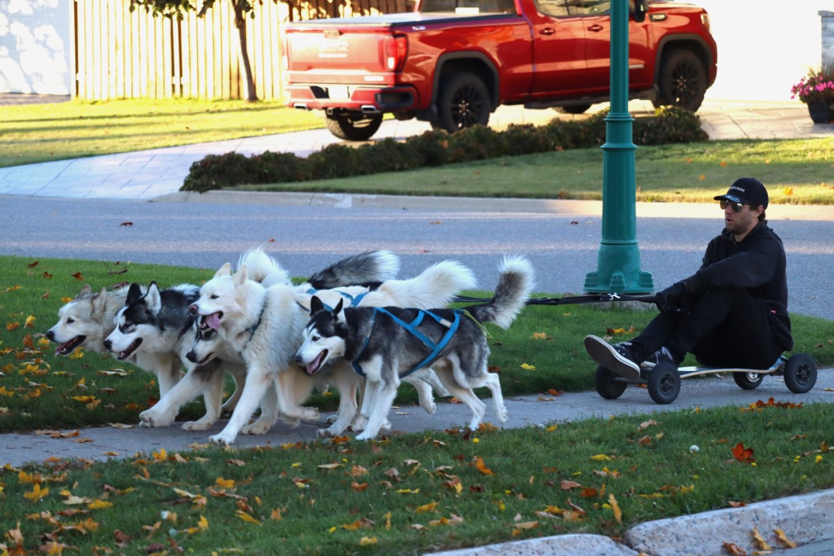 Local dog trainer has his own version of Santa’s sled