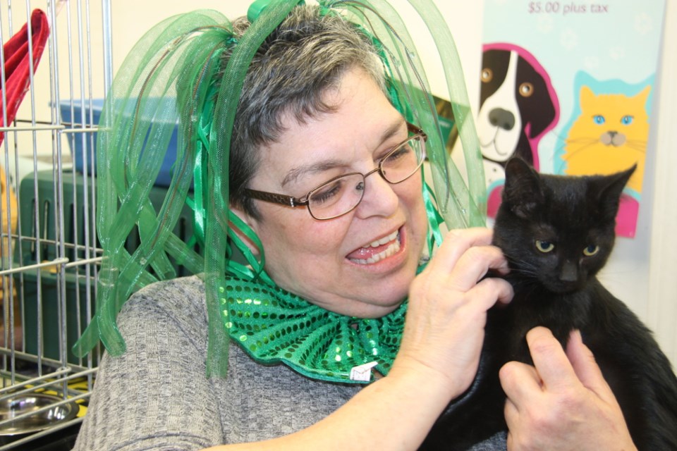 Dawn Massicotte of Paw 'n Pet Food & Grooming celebrated St. Catrick's Day, March 18, 2017. Darren Taylor/SooToday  
