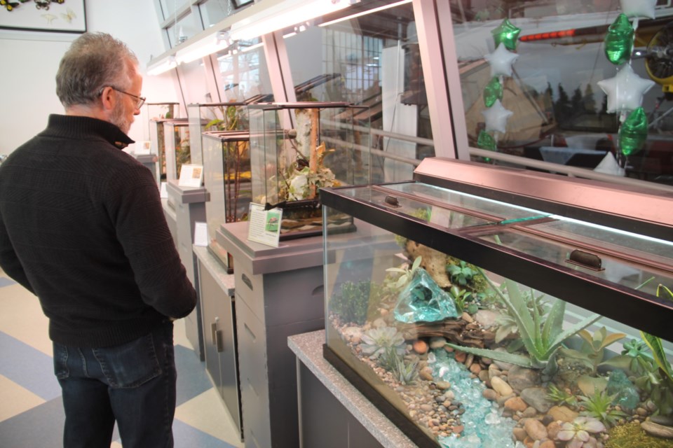 The new location of Sault insectarium Entomica within the Canadian Bushplane Heritage Centre, Feb. 27, 2020. Darren Taylor/SooToday 