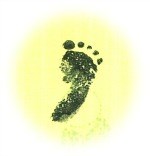 20250527tripp