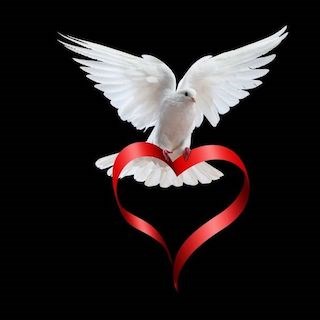 Dove and heart