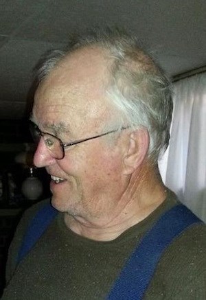 niemi