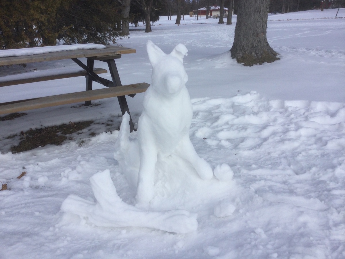 Who is the mystery sculptor behind this awesome Bellevue Park snow dog? (4  photos) - Sault Ste. Marie News