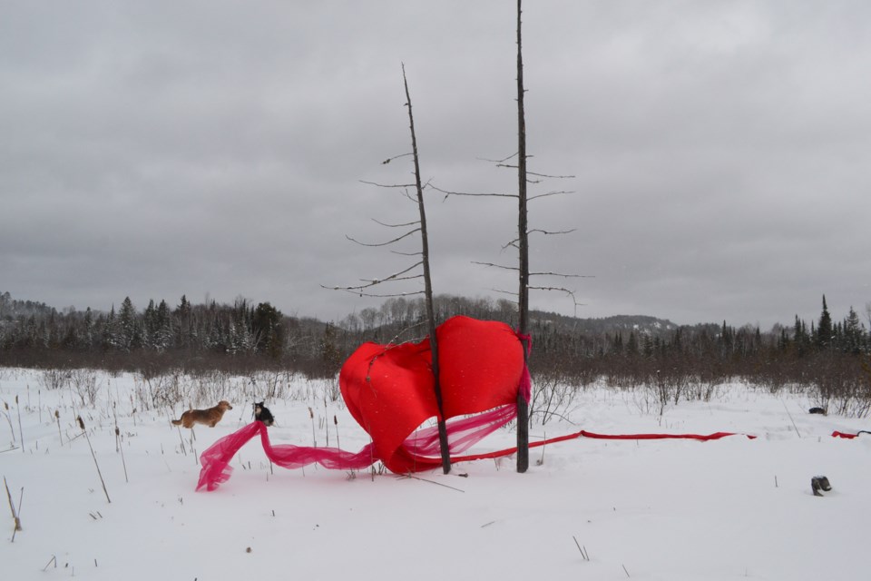 The image, entitled 'Red Marsh', was taken by local artist Britt-Marie Lindgren as part of a long term art project called 'Earth Weavings'. Lindgren travels throughout Algoma photographing long pieces of coloured fabric draped throughout the landscape. Image supplied