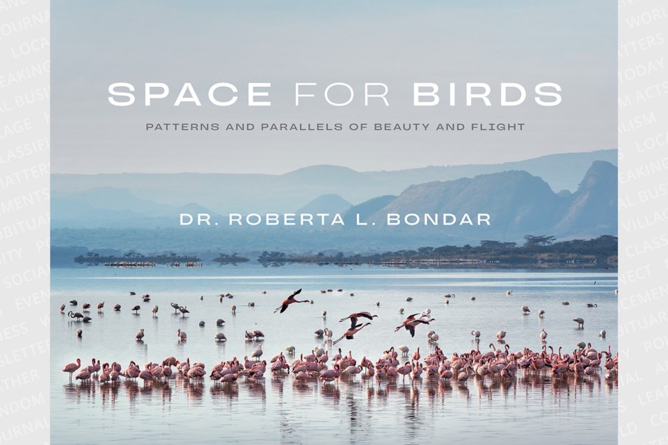 20240620spaceforbirds