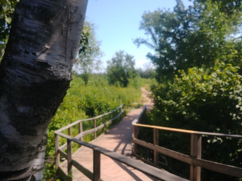 Only a short walk from Entomica and Mill Market is the Sault's historic canal complete with the Attikamek trails. This nature preserve is located in the heart of the city and makes a great spot for a beautiful nature hike if you're in town this long weekend. Photo by Jacob Zaccaria /Bulletin