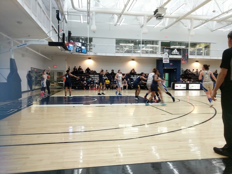 The Sault College Cougars faced the Humber Hawks in Women's Basketball this weekend at the Sault College Health and Wellness Centre