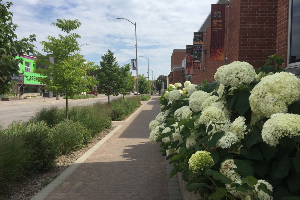 DowntownFlowersEssarCentre