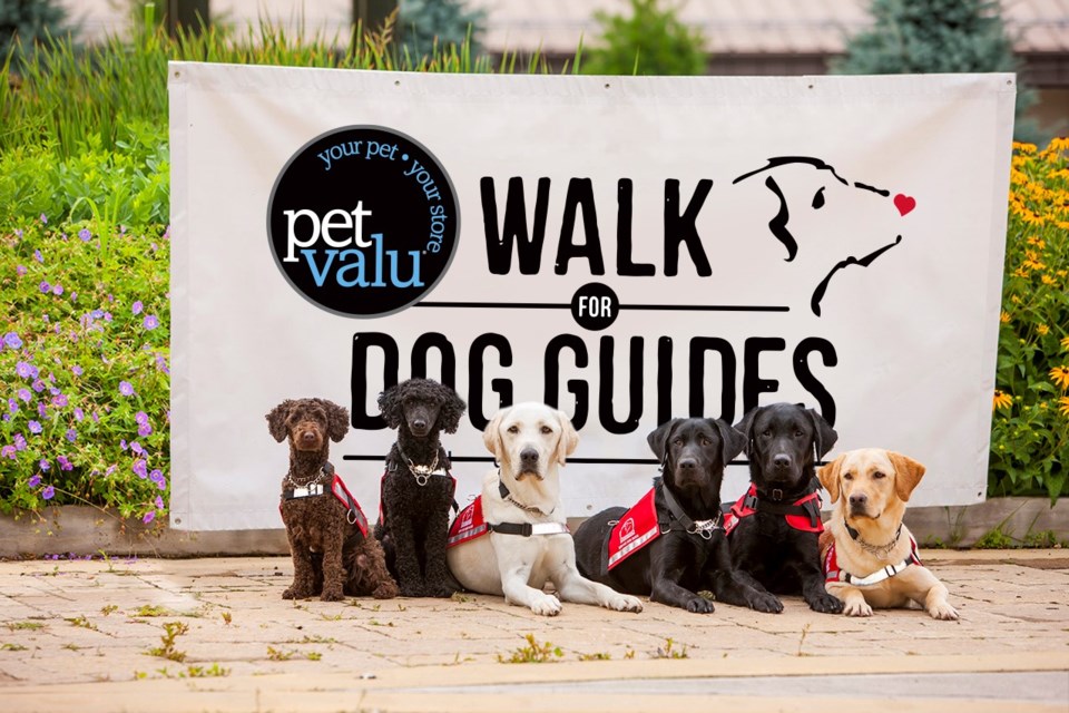 The 34th annual Pet Valu Walk for Dog Guides takes place on Sunday, May 26 at Wellesley Park in the Wakamow Valley starting at 9 a.m. The walk here is one of nearly 300 taking place across Canada. 