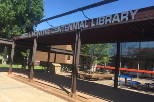 Help the library 'bridge' the gap in technology services