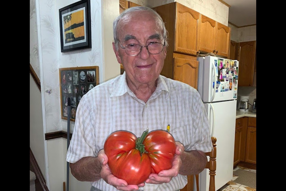 David Toppan and his 5 ib tomato. Photo supplied