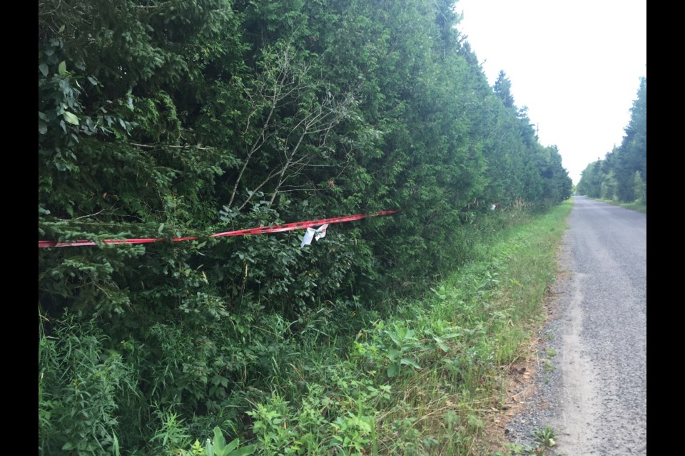 A Goulais River resident has extended a rope across his property in an attempt to stop a utility company from clear cutting the area of its trees. Photo supplied.
