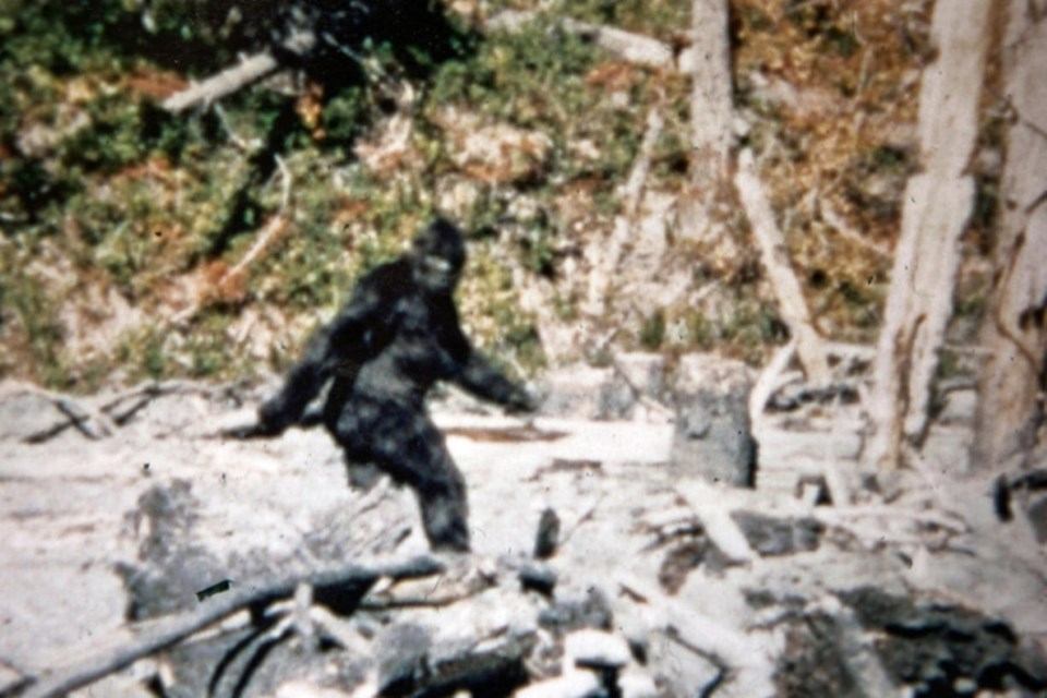 Frame 352 of the 1967 Sasquatch Patterson-Gimlin film has created the well-known figure.
