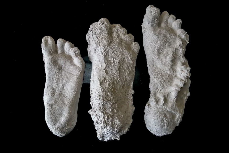 These plaster casts show the growth of a sasquatch as recorded by investigator Mike Patterson