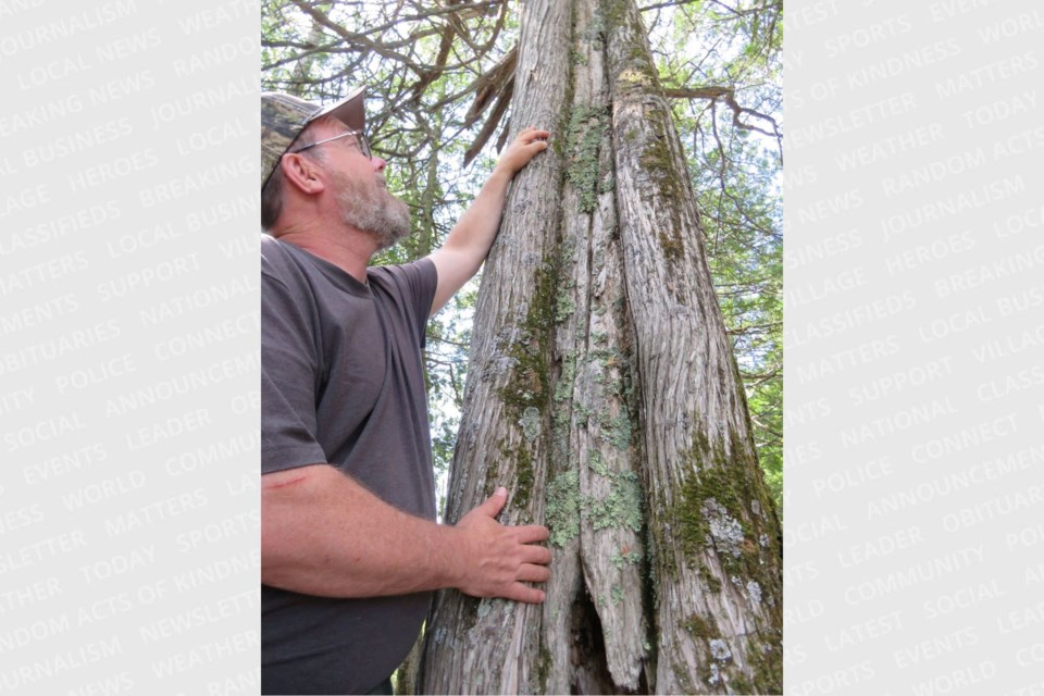 Brian Emblin stands beside one of a number of cedar culturally modified trees located at the tombolo point (sand spit) within Nagagamisis Provincial Park.