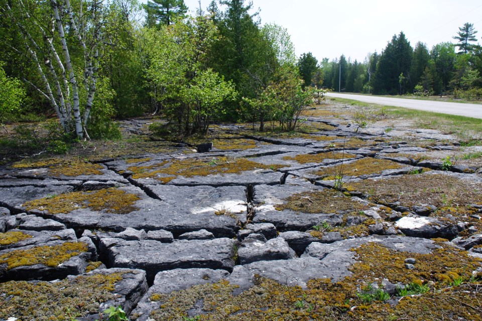 There are alvars throughout Manitoulin Island but this location  is one of the author's of 'Manitoulin Rocks' favourites. 