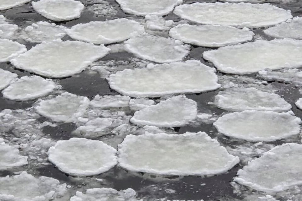 This pancake ice up close on the Amable du Fond River within Samuel de Champlain Provincial Park. 