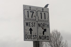 BACK ROADS BILL: A road trip through history, nature and culture