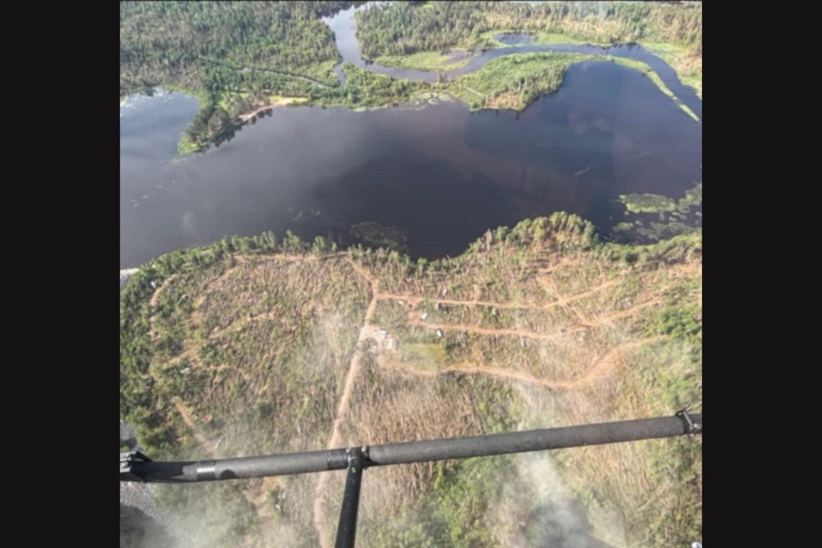 On June 21, a powerful microburst tore through Samuel de Champlain Provincial Park and the Canadian Ecology Centre near Mattawa, flattening tens of thousands of trees. Now, forestry experts are stepping forward to help chart a path forward for this beloved natural space