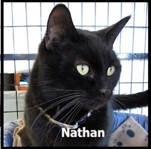 CreatureFeature2016-01-28Nathan