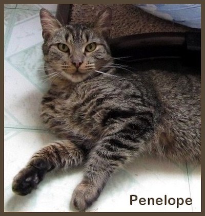 CreatureFeature2016-02-11Penelope