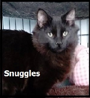 CreatureFeature2016-03-24Snuggles