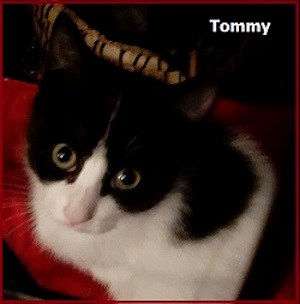 CreatureFeature2016-06-16Tommy
