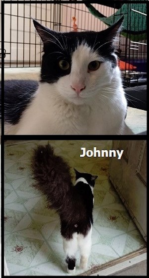 CreatureFeature2016-07-28Johnny