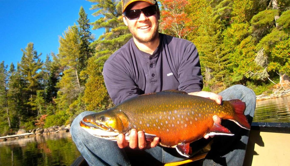 bluefoxcamp_brooktrout