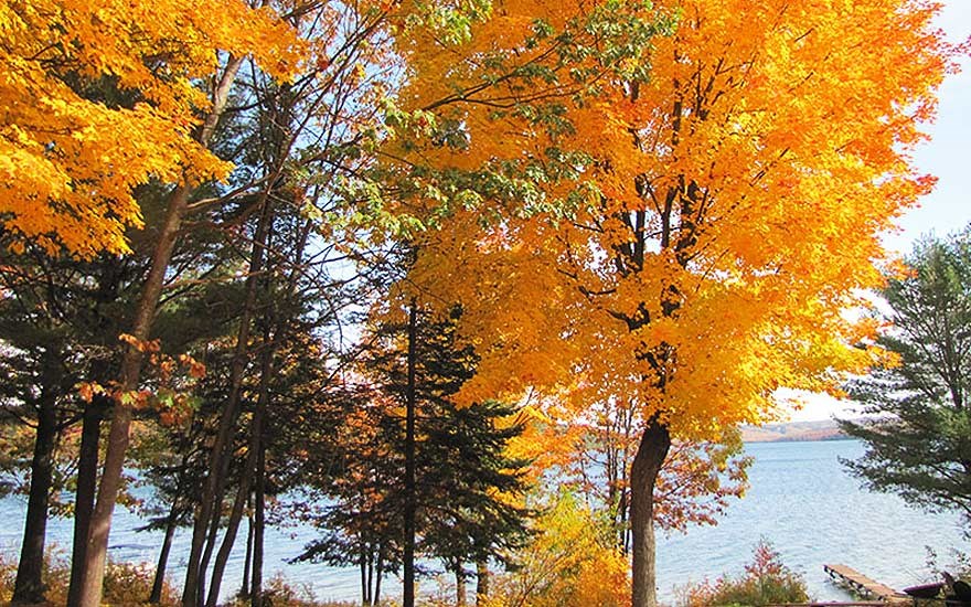 fallcolours_cottage