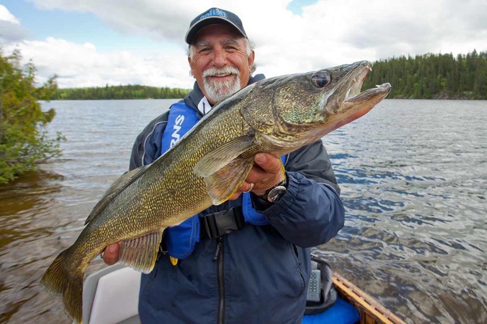 fish-n-canada-walleye