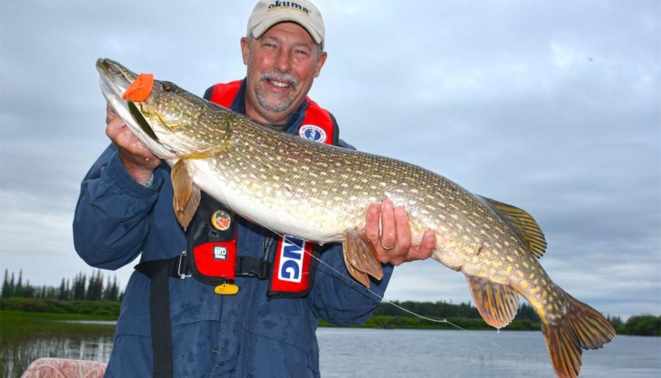 northernpike_spoon_411fishing