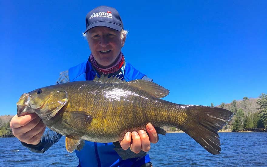 smallmouth-bass-eastern-algoma-1